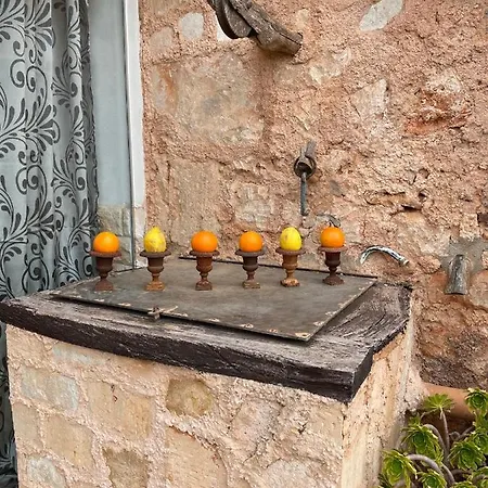 S Hort De Carrio Ag226 סס סלינס