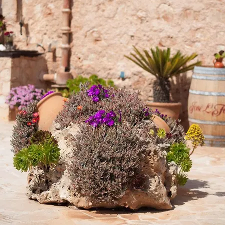 S Hort De Carrio Ag226 Hotel Ses Salines (Mallorca)
